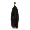 Kinky Curly